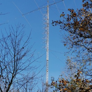 14 mhz stozar v lese i s namontovanymi 2m antenami 20191211777492984